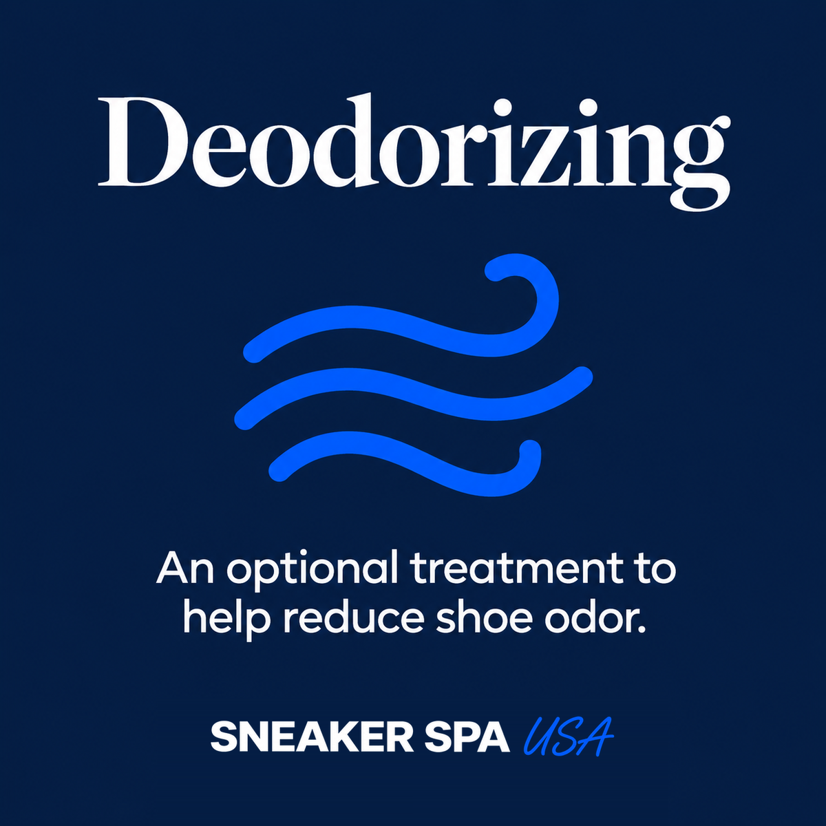 Deodorizing — Sneaker Spa USA